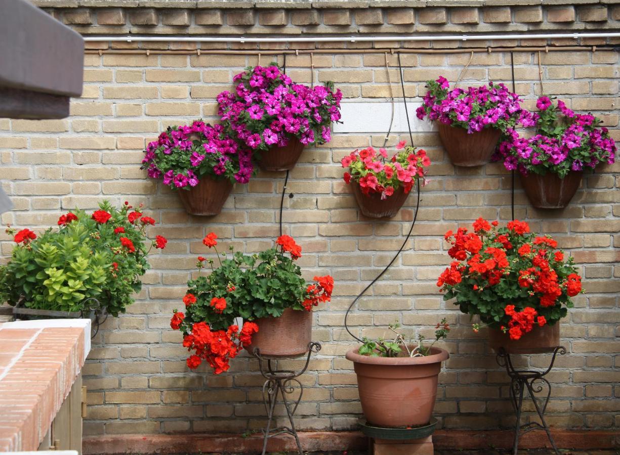 Murano Garden House Apartment Ngoại thất bức ảnh